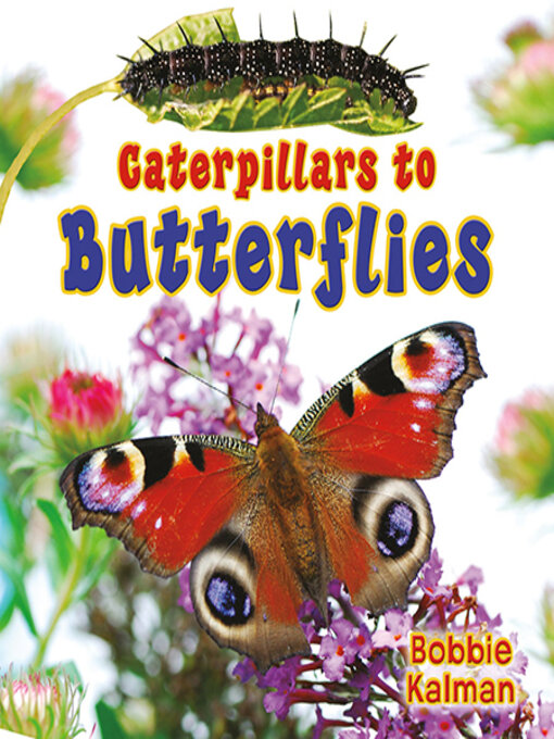 Title details for Caterpillars to Butterflies by Bobbie Kalman - Available